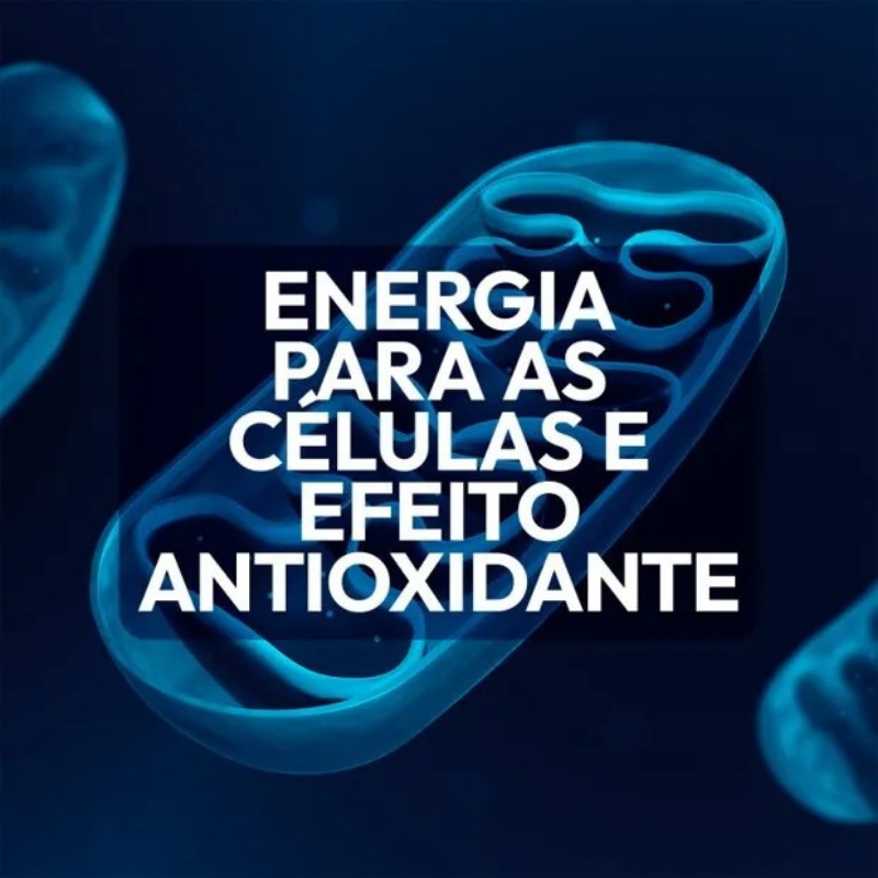 KIT GLORYFUL OMEGA-3 TG 60 GOMAS + GLORYFUL COQ10 30 GOMAS